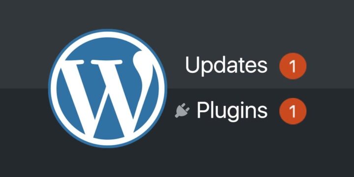 WordPress website plugin and update notifications