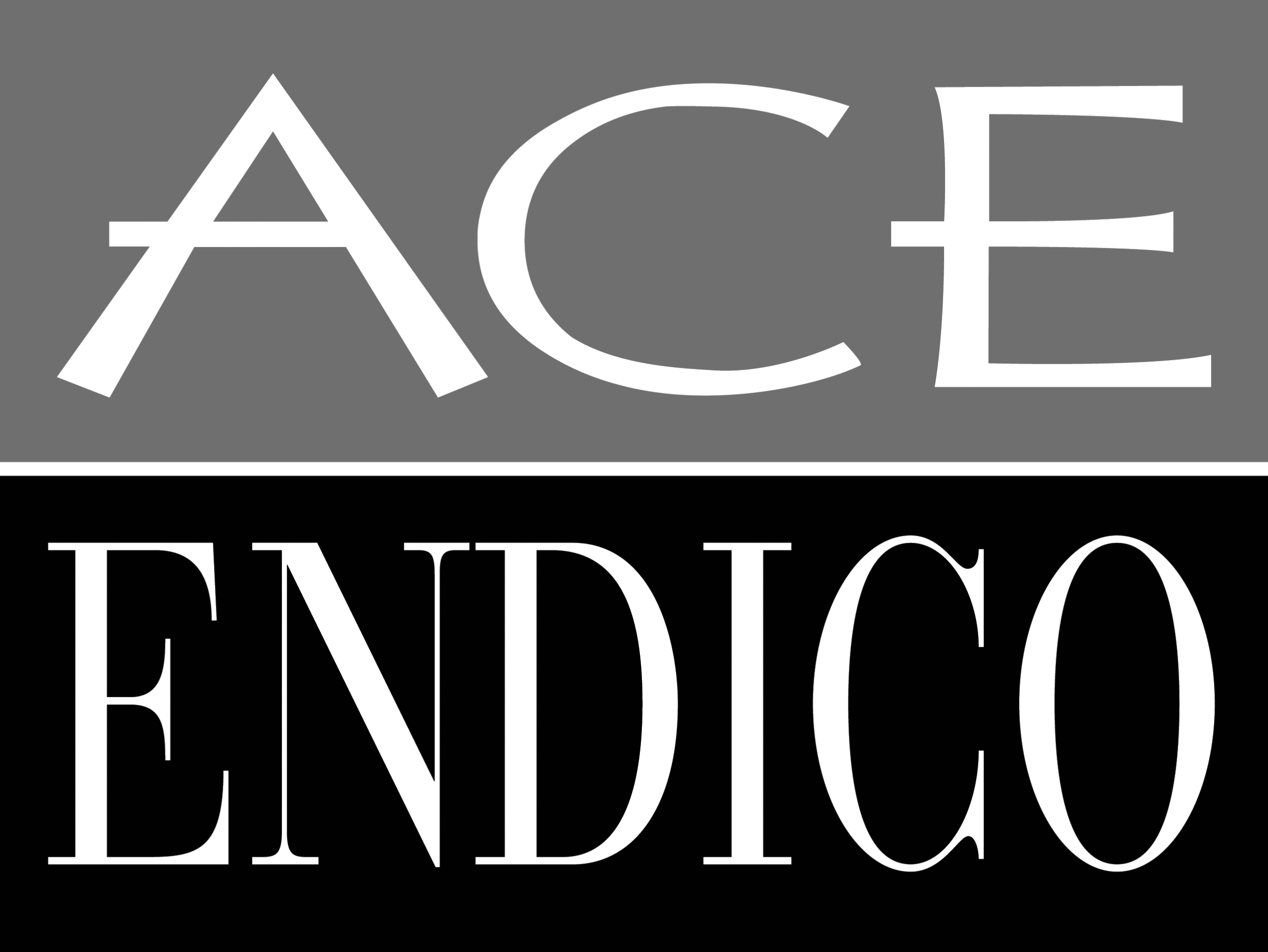 Ace Endico