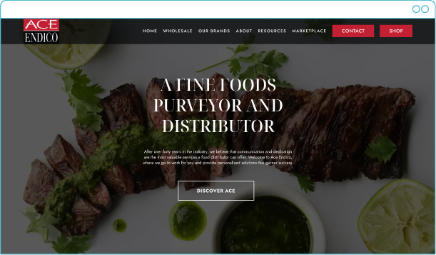 Ace Endico — Modernizing a Legacy Brand