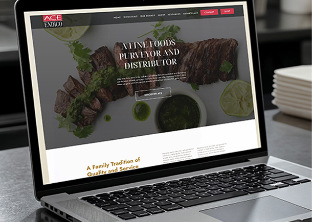 Gallery_526x658_AE_HomepageMock 1